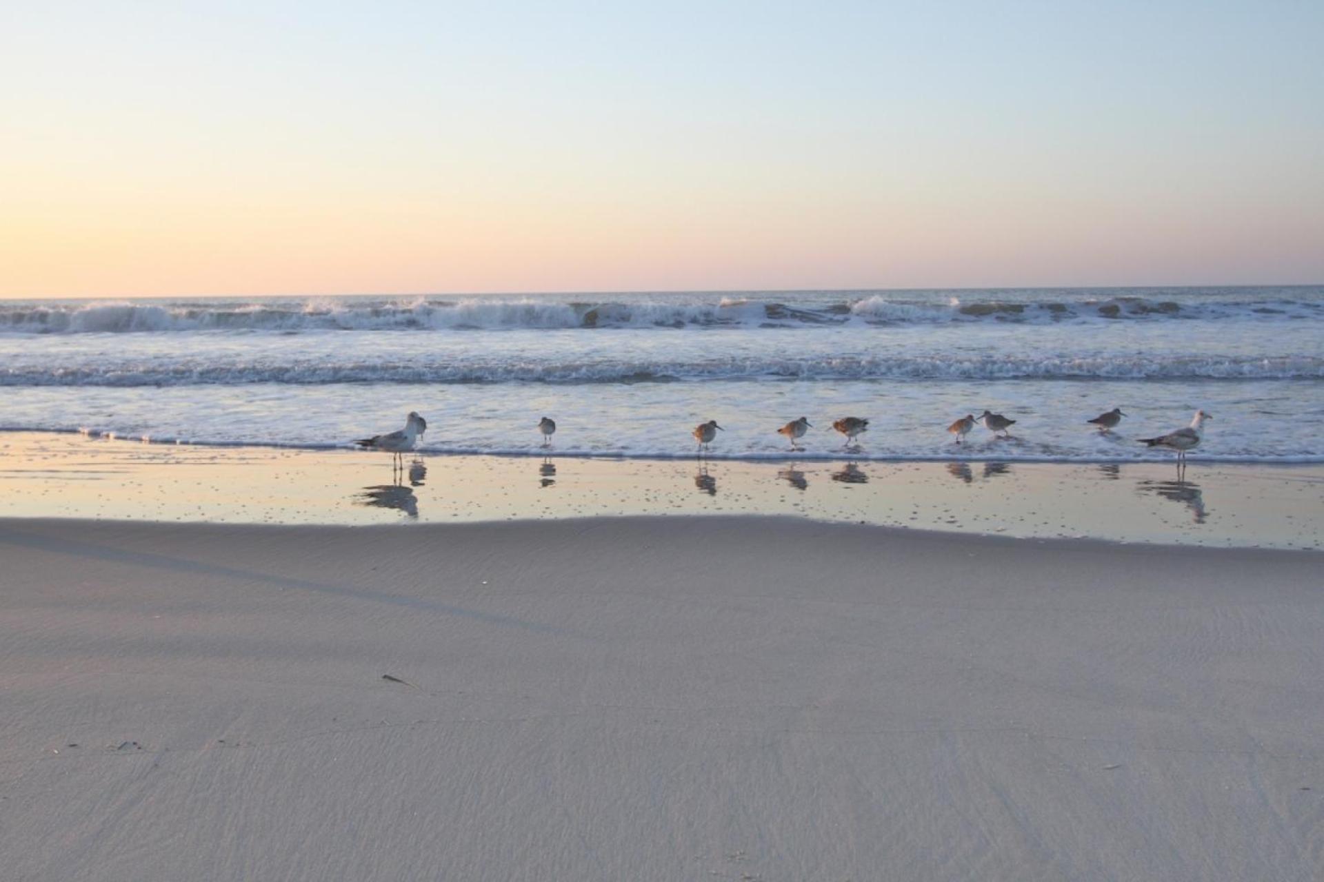 Serenity Folly Beach Buitenkant foto